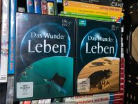 Das Wunder Leben DVD Set Kinder Wissen Box Dokumentarfilm Sachsen - Riesa Vorschau