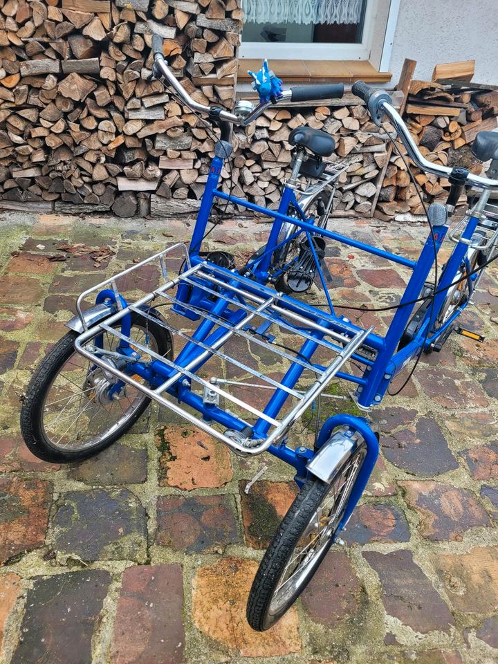 Doppeltandem Fahrrad in Crinitz