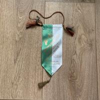 Wimpel "Radfahrer der FDJ", original aus DDR, Geschenkidee, Auto Thüringen - Königsee Vorschau