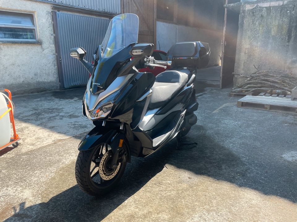 ‼️Honda Forza 300|Service/HU neu‼️ in Biberach an der Riß