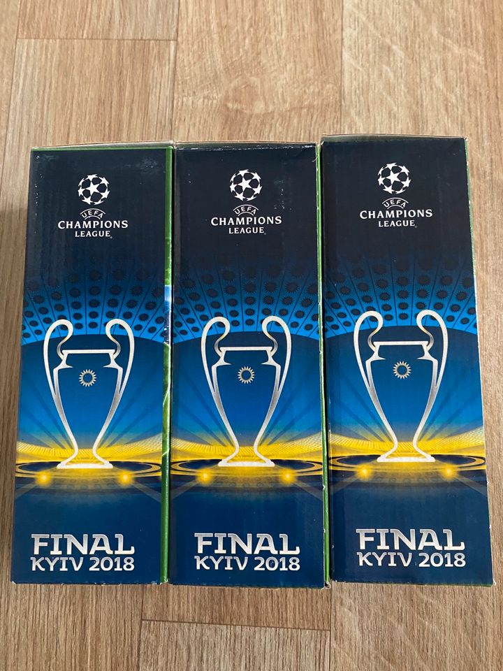 Heineken Gläser UEFA Champions League „FINAL KYIV 2018“ in Rotenburg (Wümme)