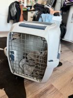 Clipper 4 Hundebox Hundetransportbox Thüringen - Ilmenau Vorschau