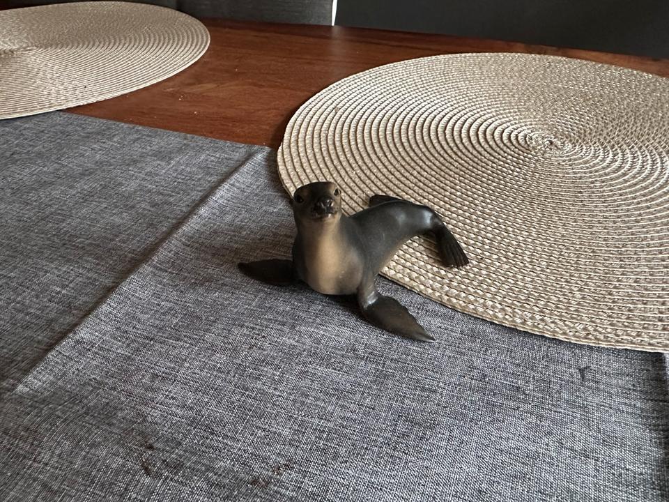 Schleich Figuren Meerestiere Orca, Schildkröte, Rochen, Seelöwe in Scharbeutz
