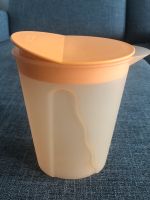 Original Tupperware Kanne Serie Junge Welle 1,0 Liter Bayern - Wolfratshausen Vorschau