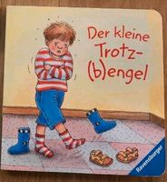 Kinderbuch der kleine Trotz (b)engel Sachsen - Pirna Vorschau