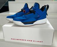 NIKE AIR JORDAN AJ XXXIII SE • Größe 43 • Top Zustand Rheinland-Pfalz - Hargesheim Vorschau