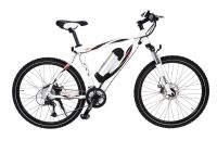 S U C H E  :  E-Bike FASSI SPORT (weiß, mit Heckantrieb) Wiesbaden - Mainz-Kostheim Vorschau