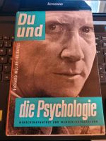 Du und die Psychologie Richard Müller Freienfels Menschenkenntnis Bayern - Gemünden a. Main Vorschau