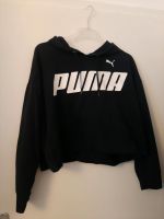 Puma kurz Pullover Nordrhein-Westfalen - Halver Vorschau