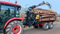 Brennholz Transportieren Rücken Fällen Rückewagen Seilwinde Holz Bayern - Teublitz Vorschau