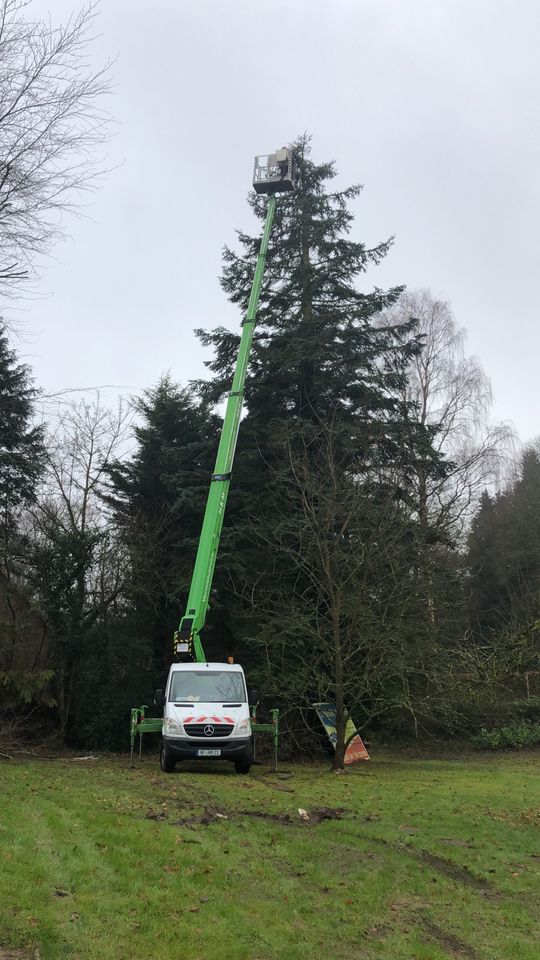 Gala Gartenpflege Objektpflege Gärtner in Hohenwestedt