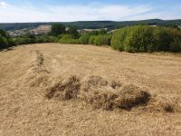 Heuballen Heu Bergwiesenheu Bayern - Rattelsdorf Vorschau