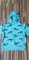 ☆Hoodie Pullover 110/116☆ Neuwertig Dinosaurier H&M Brandenburg - Trebbin Vorschau