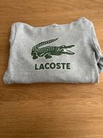 Lacoste Hoodie München - Schwabing-West Vorschau