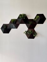 Pflanzenwand, Wanddeko in Hexagon Form Bayern - Thurnau Vorschau