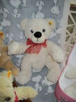 Steiff Teddy Bernie ca. 35 cm # 013218 Rheinland-Pfalz - Worms Vorschau