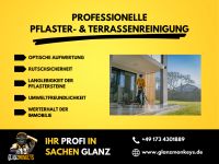 Pflaster- & Terrassenreinigung I Reinigung I Reinigungsdienst Bayern - Burglengenfeld Vorschau