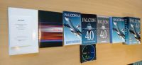 Falcon 4.0 Deutsche Erstauflage mit allem Zubehör Frankfurt am Main - Nieder-Erlenbach Vorschau