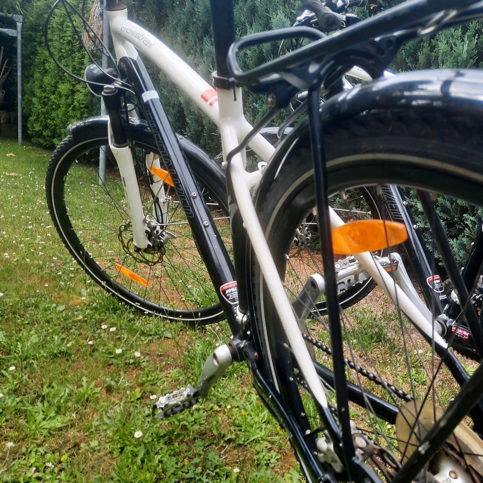 1 Specialized crosstrail Fahrrad in Dresden