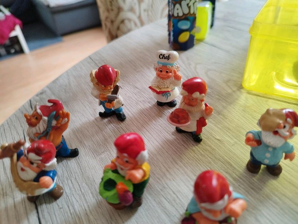 Originale Figuren aus ü-Ei, Die Zukunft der Zwerge, Pinky piggys in Stadthagen