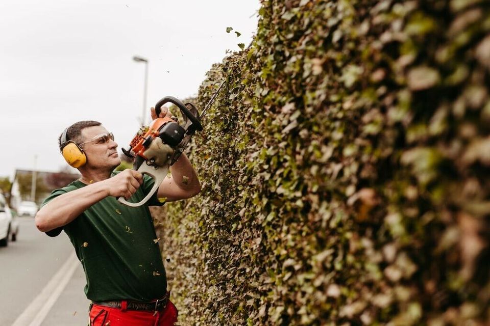 Gartenarbeit Baumfällung Rodungsarbeiten Wurzelentfernung Verleih in Höchstadt