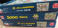 JAN VAN HAASTEREN 3000 Puzzle Set (3x) Eimsbüttel - Hamburg Eimsbüttel (Stadtteil) Vorschau