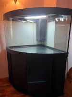 Aquarium mit Juwel Schrank 400L Sachsen-Anhalt - Schönebeck (Elbe) Vorschau