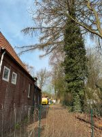 Äste schneiden Bergedorf - Hamburg Lohbrügge Vorschau