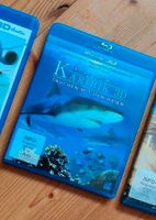 Blu Ray 3D Film Abenteuer Karibik Tauchen mit den Haien 3D Dresden - Gompitz Vorschau