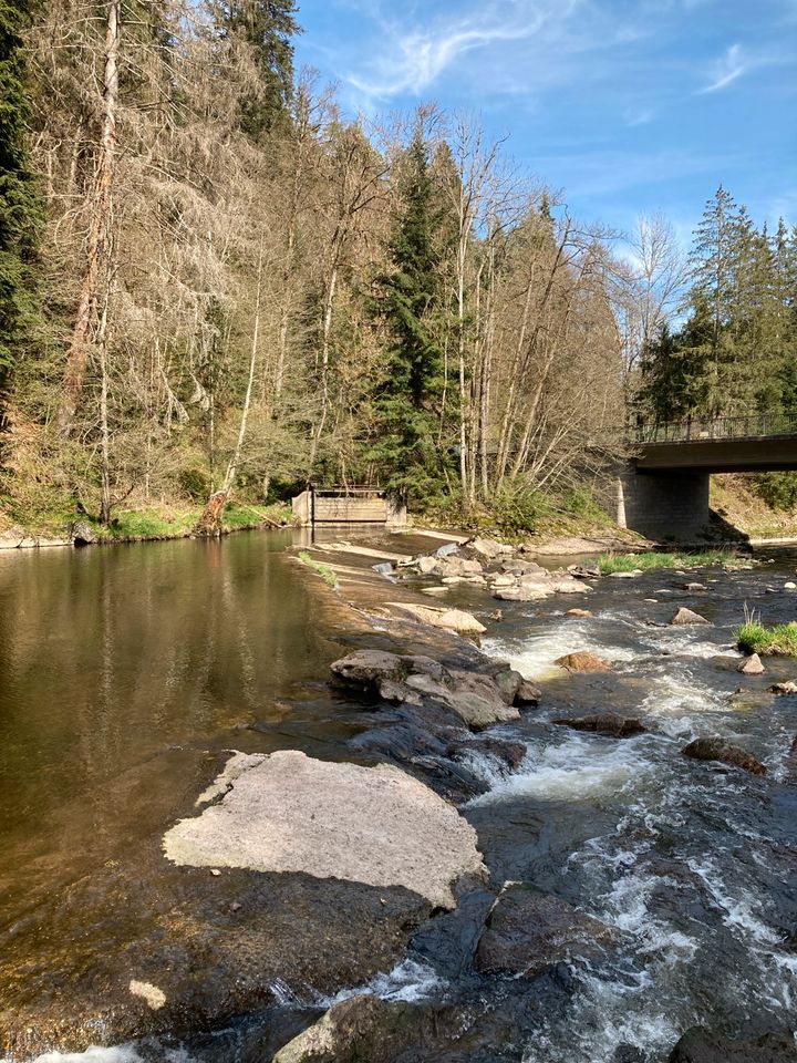 Auszeit mit Yoga & Wandern im Hochschwarzwald: 21.-26.5.2024 in Löffingen