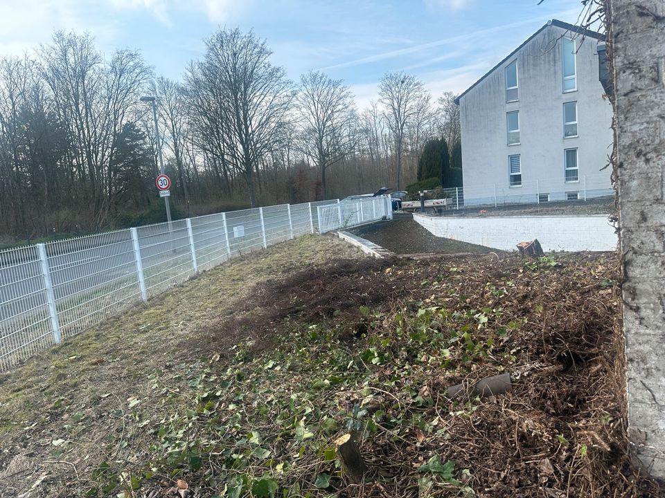 Baumfällung, Baumpflege, Grünschnitt, Gartenarbeit, Baggerarbeit in Frechen