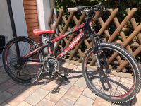 Lombardo 24“  Mountainbike Baden-Württemberg - Steinmauern Vorschau