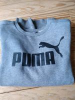 Sweatshirt Herren Pullover Sweater Puma grau, M Herzogtum Lauenburg - Schwarzenbek Vorschau