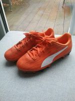 Fußballschuhe mit Stollen v. Puma Hessen - Limburg Vorschau