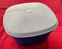 Suche Tupperware Deckel HELLBLAU für Siebservierer Nudelsieb Baden-Württemberg - Schorndorf Vorschau