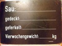 DDR Schild Sau Schweinezucht SIGNOGRAPH Deko Geschenk Sammler Berlin - Friedenau Vorschau