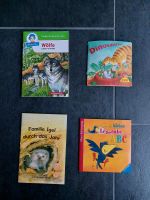 Set 4 x Mini Pixi Wölfe Dinosaurier Igel Leserabe Baden-Württemberg - Neulingen Vorschau