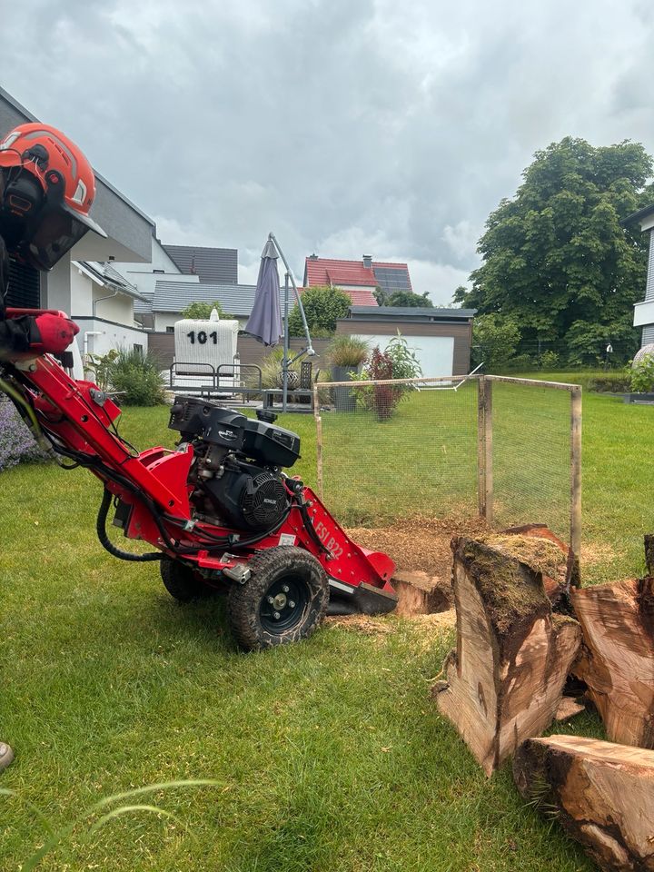 Wurzelstockfräsen Baumstumpffräsen Baumwurzelentfernung Rodung in Linsengericht