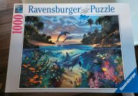 Ravensburger Puzzle 1000 Teile Niedersachsen - Hermannsburg Vorschau