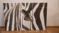 Triptychon, Wandbild, 3er Set, Zebra, Afrika Niedersachsen - Brockel Vorschau
