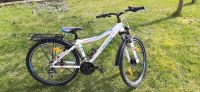 Lakes Flexx 120 Mountenbike, Fahrrad 26" 40cm Rahmen Rheinland-Pfalz - Emmelshausen Vorschau
