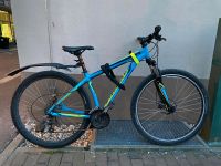 Specialized MTB Fahrrad 29 Zoll Rahmengröße M Sachsen-Anhalt - Halle Vorschau