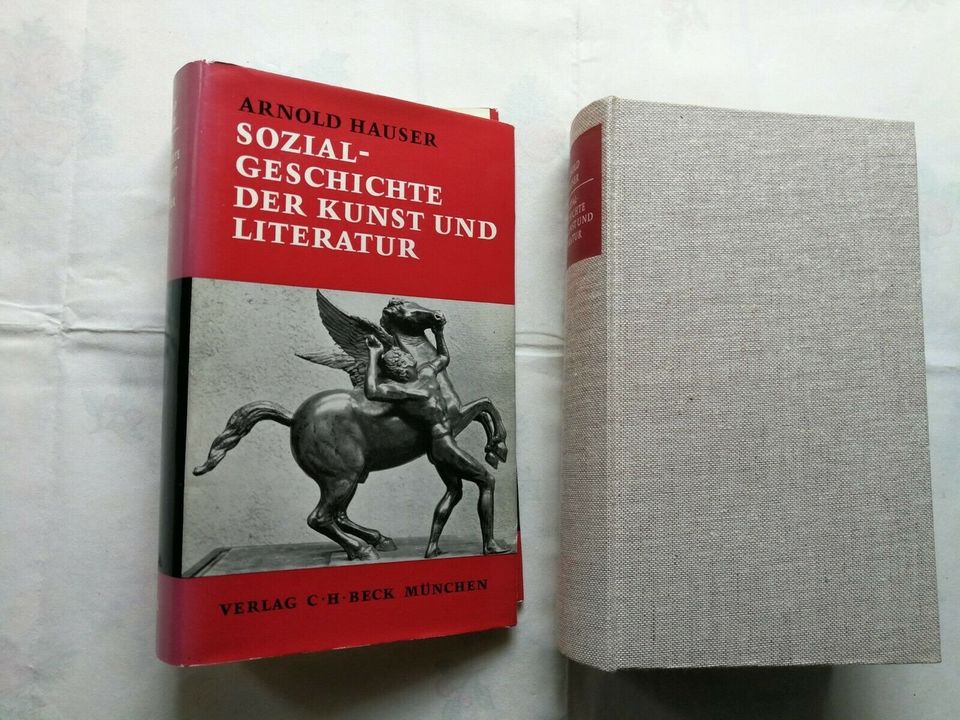 A. Hauser-Sozialgeschichte der Kunst & Literatur-Ungekürzte... in Ilsede
