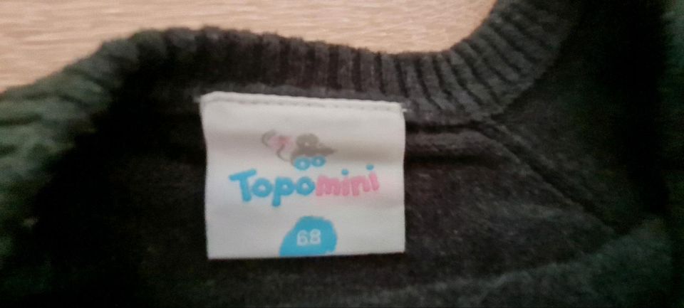 1.50€ Gr. 68 Topomini Sweatshirt Pullover Langarmshirt in Markranstädt