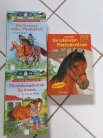 Pferdebücher für Kinder und Jugendliche Hessen - Vellmar Vorschau