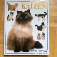 Katze Großes Katzenbuch Taylor Rassen Handbuch Haltung Pflege Berlin - Hohenschönhausen Vorschau