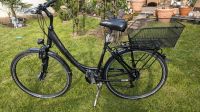 Damen Trekkingrad 28" Pegasus Solero Alu Light Nordrhein-Westfalen - Bergheim Vorschau