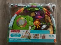 Fisher Price Rainforest Erlebnisdecke Spielbogen mit Batterien Hessen - Kassel Vorschau