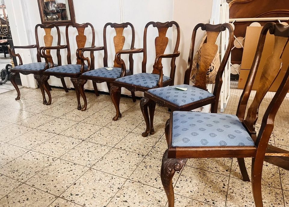 6X Queen Anne Stil  carver armchair Stühle chair Armlehnsessel in Rodenberg