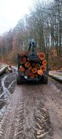 Holztransport Brennholz Transport Holz Wald Fakten Art Traktoren Hessen - Steinau an der Straße Vorschau